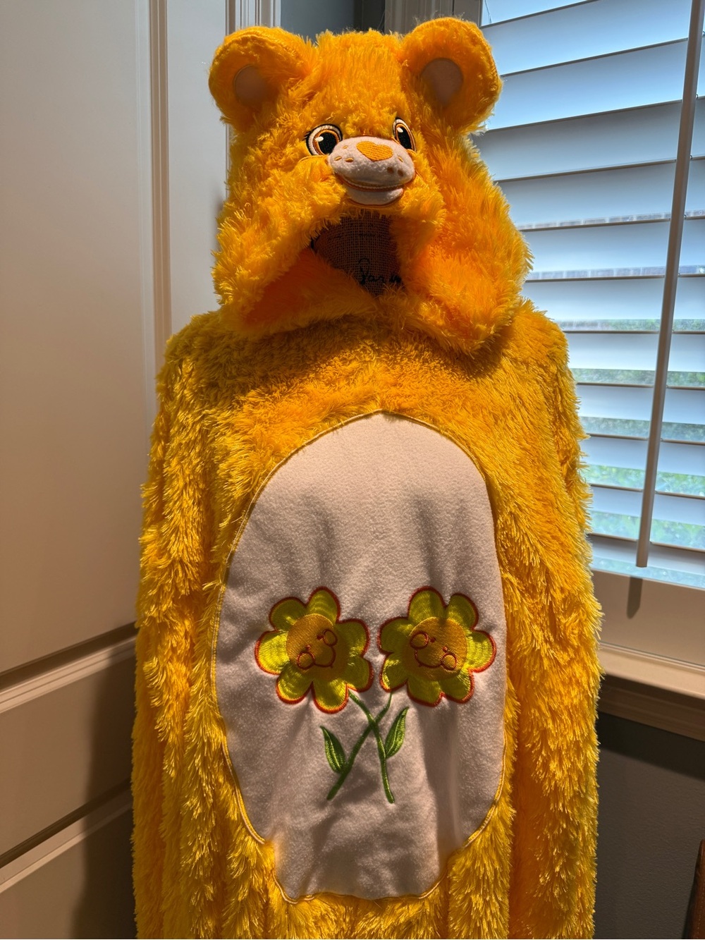 Care Bears Friend Bear Costume for Adults